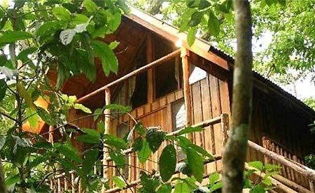 Bayrams Tree Houses Olympos Eksteriør bilde