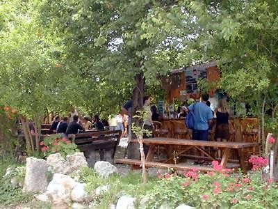 Bayrams Tree Houses Olympos Eksteriør bilde