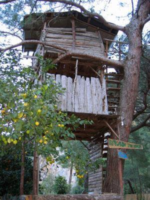 Bayrams Tree Houses Olympos Rom bilde