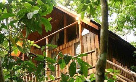 Bayrams Tree Houses Olympos Eksteriør bilde