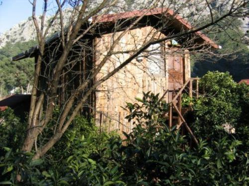 Bayrams Tree Houses Olympos Rom bilde